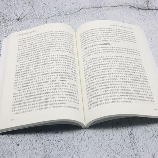 审计监督理论与实践研究 商品图4