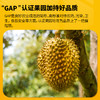 【顺丰/京东冷链发货】泰国老树泰国自有果园工厂泰国A级金枕榴莲果肉 商品缩略图4