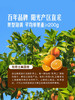 MM 山姆 美国进口 新奇士橙 4.5kg 商品缩略图4