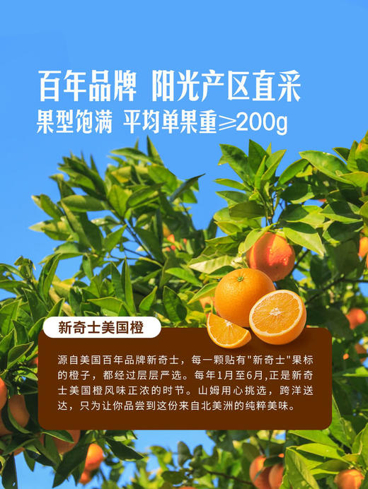 MM 山姆 美国进口 新奇士橙 4.5kg 商品图4