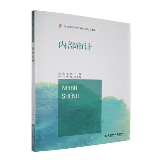 内部审计 商品图0