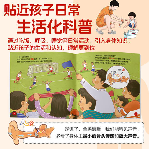 亲亲科学图书馆《身体的秘密》（全十册） 商品图2