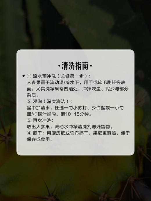 MM 山姆 云南人参果 1kg 商品图6