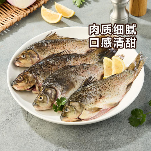 MM 山姆 千岛湖三去鲫鱼4条 1kg 商品图1