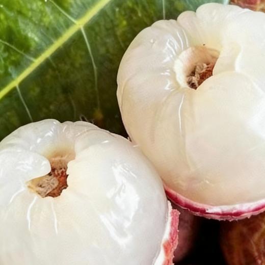 海南桂花香荔枝（顺丰空运）#爽脆多汁带有桂花香，老树自然树熟，不打药不催熟不捂保鲜剂，尝鲜 商品图0