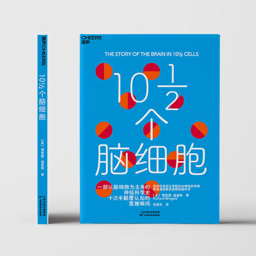 10½个脑细胞  从一滴染色剂到人工智能，用浪漫故事讲透硬核脑科学 商品图2