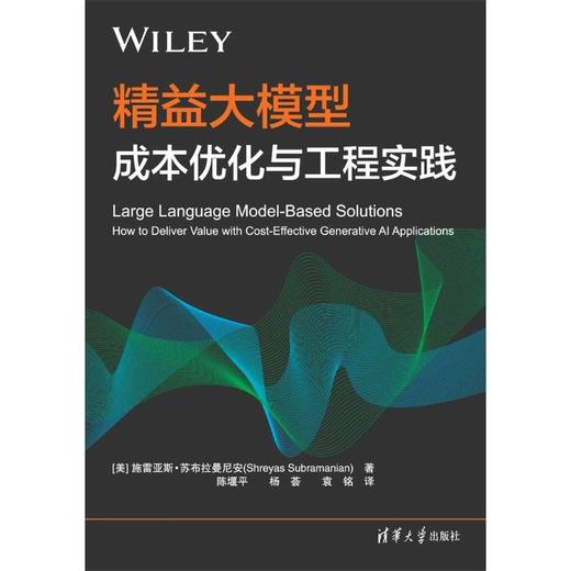精益大模型:成本优化与工程实践 商品图2