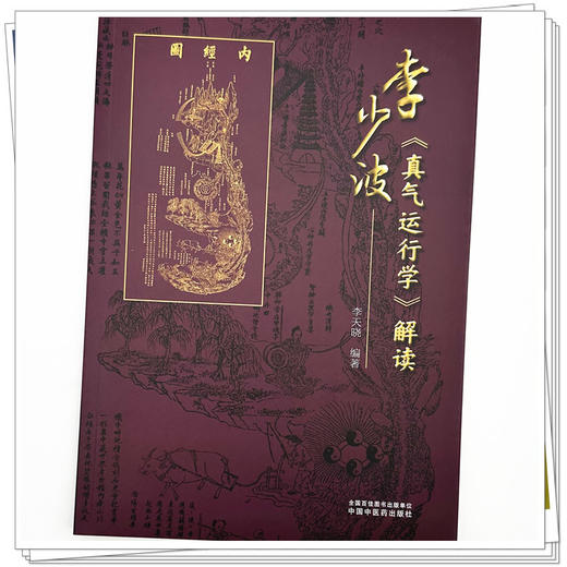 李少波《真气运行学》解读 李天晓 编著 中国中医药出版社 真气运行养生实践 中医入门 养生书籍 商品图3