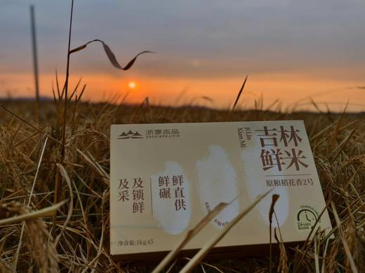【鲜米年卡专属兑换套餐】六鲜合一鲜碾原粮稻花香2号礼盒装 5kg/箱JL 商品图2