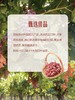 MM 山姆 进口无籽红提 1.36kg 商品缩略图4