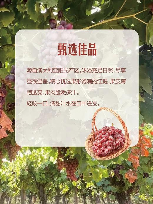 MM 山姆 进口无籽红提 1.36kg 商品图4