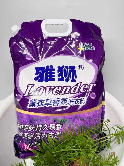 雅狮-香氛洗衣粉 3KG 商品图2