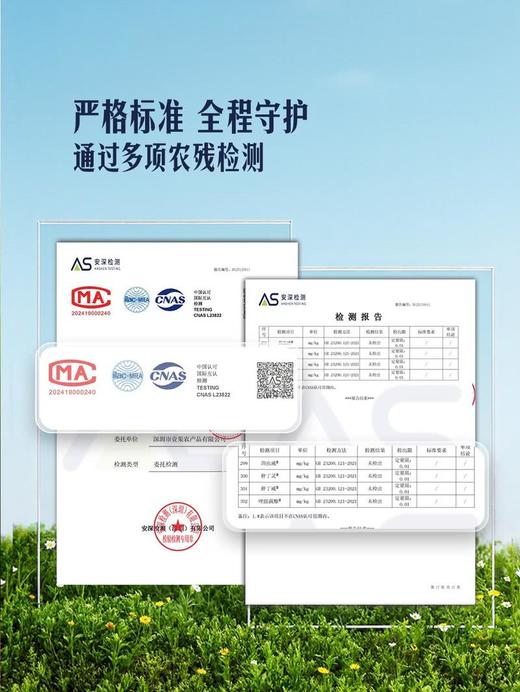 MM 山姆 红心芭乐 1.5kg 商品图3
