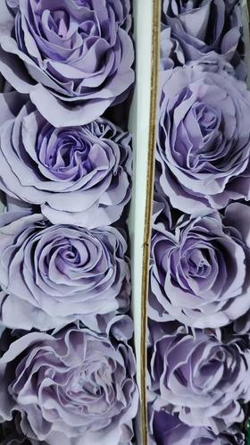 国产染色玫瑰 | 甜蜜薰衣草