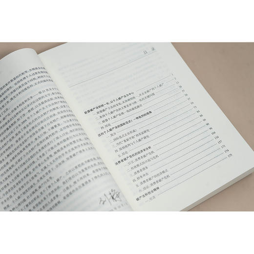 个人破产法的年轮 商品图3