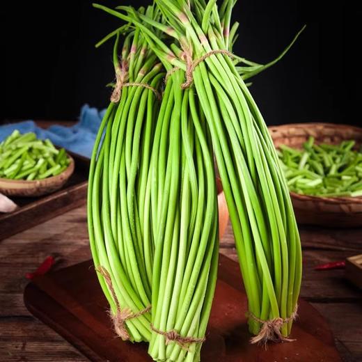 2026年现摘红帽蒜苔蒜薹 商品图3