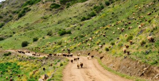 户外@2~4人【秘境天山】穿越精伊牧道、布隆沟|深度越野9天 商品图4
