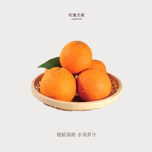 【豆豆LAB】伦晚脐橙 鲜甜多汁  12枚礼盒装 商品图3