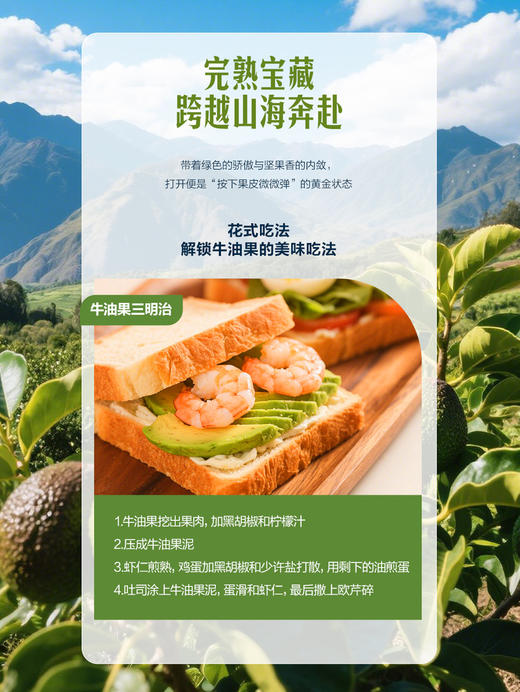 MM 山姆 即食牛油果 6粒装（1.26kg） 商品图3
