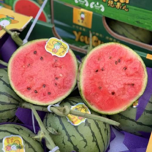 悠果儿小糖丸西瓜 商品图1