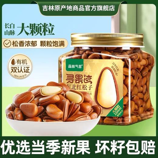 *长白山森林气息有机东北红松子(绿标1100松子）JL 商品图0