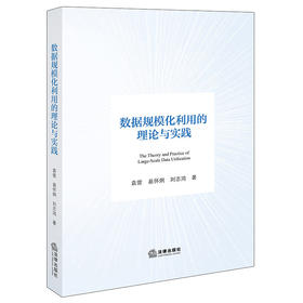 数据规模化利用的理论与实践