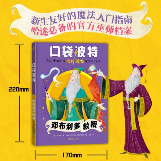 口袋波特:邓布利多教授 商品图2