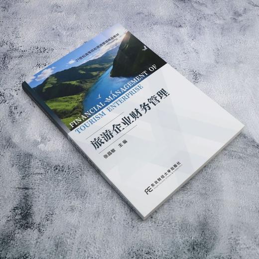 旅游企业财务管理 商品图1