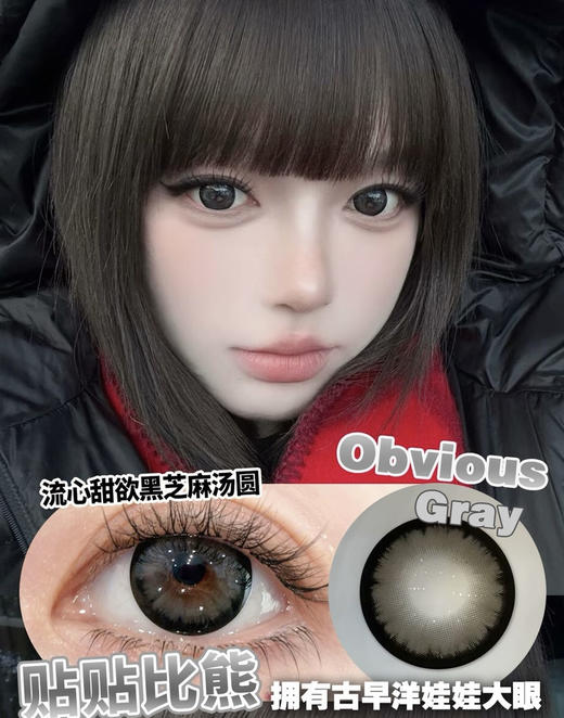 OBVIOUS GRAY 贴贴比熊【半年抛】 商品图0