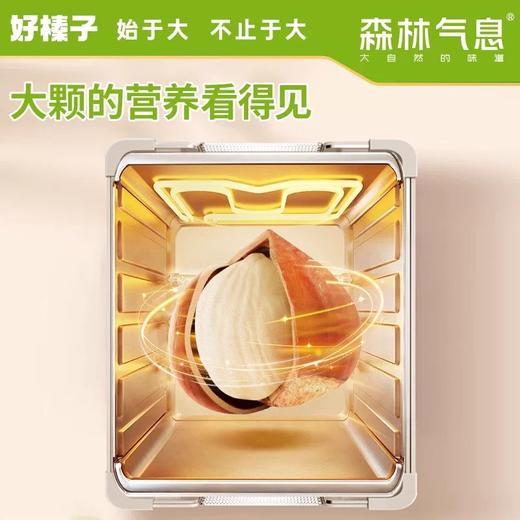 【高校专属&全场满99包邮】森林气息开口榛子5袋装JL 商品图1