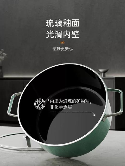 【6F】WMF德国原装进口奈彩米2.0汤锅20cm（桉树绿） 商品图3