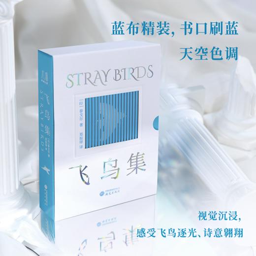 中英文双语【飞鸟集】 商品图4