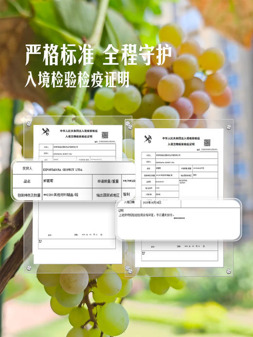 MM 山姆 智利香妃葡萄 900g 商品图3