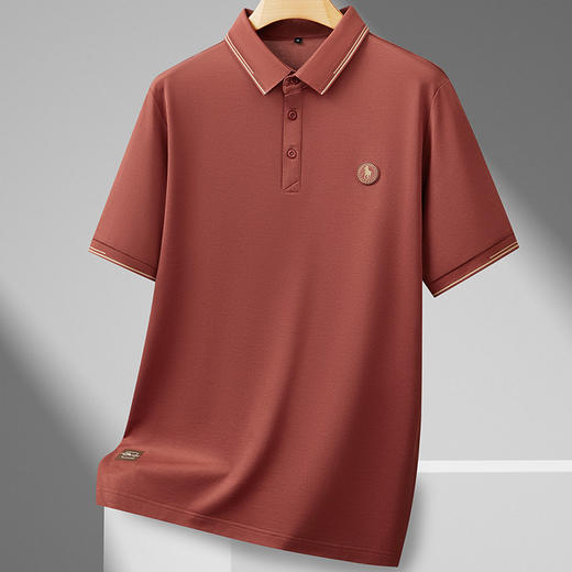 【DDS】大依优型大码男装夏季桑蚕丝亚麻混纺短袖POLO衫商务休闲百搭T恤 商品图1