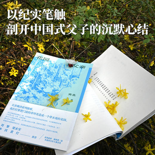 花园与父亲  黄鱼/著 {北贝} 商品图5