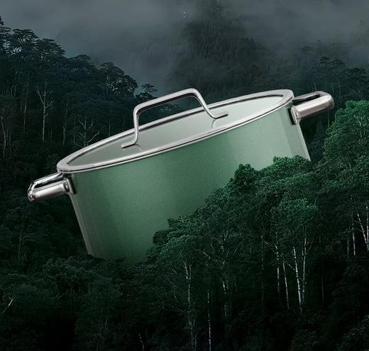 【6F】WMF德国原装进口奈彩米2.0汤锅20cm（桉树绿） 商品图1