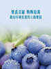 MM 山姆 怡颗梅 云南超大蓝莓 750g 商品缩略图4
