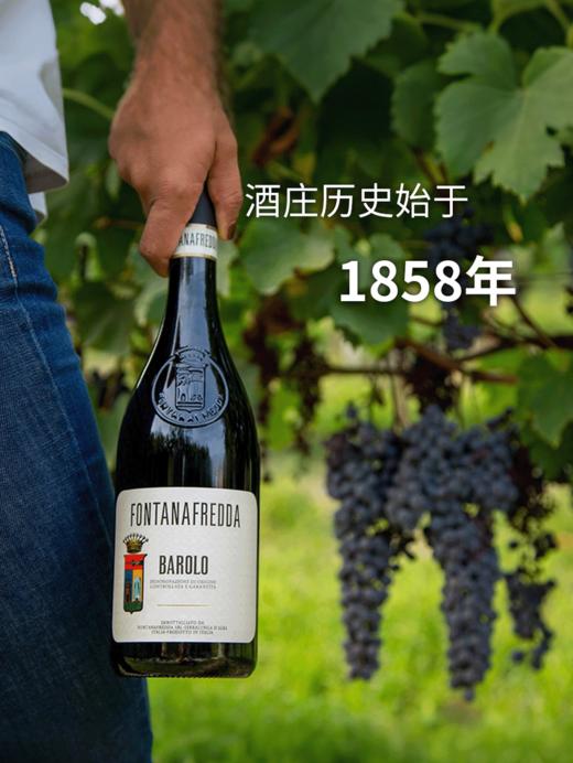MM 山姆 芳塔纳 意大利进口 巴罗洛红葡萄酒 750ml 商品图4