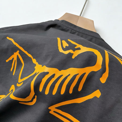 始祖鸟纯圆男士速干短袖。灰色 绿色。自己备注号码颜色。 商品图12