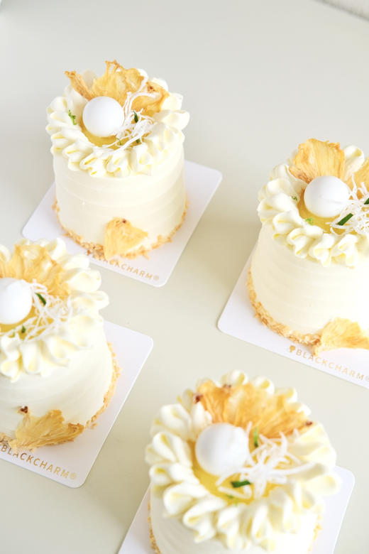 椰椰凤梨（mini款） 商品图1