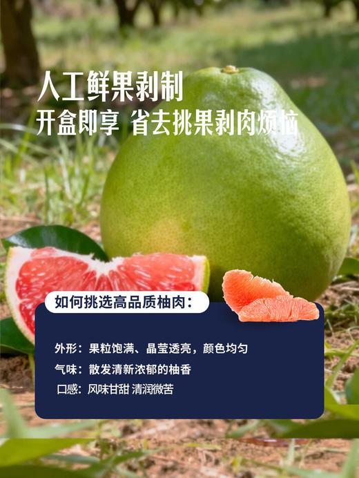 MM 山姆 鲜剥泰国红宝石柚肉 500g 商品图4