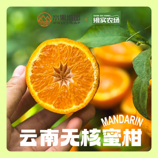 【云南花香无核蜜柑】春日甜蜜暴击爆汁花香蜜柑，一口咬出阳光的味道🌞 商品图2