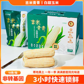 【3h极速锁鲜】非转基因鲜食白甜糯玉米10穂/箱JL