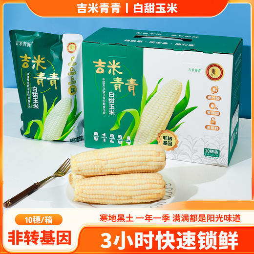 【3h极速锁鲜】非转基因鲜食白甜糯玉米10穂/箱JL 商品图0