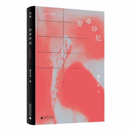 安卓珍尼 董启章/著【知新】 商品图3