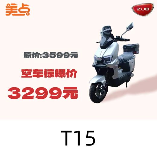 【美点·五星钻豹】T15（带牌） 商品图0