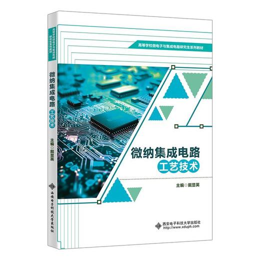 微纳集成电路工艺技术 商品图0