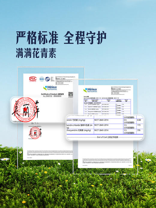 MM 山姆 20mm云南蓝莓 600g 商品图3