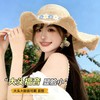 夏季海边沙滩度假拍照花朵帽檐草帽女百搭简约遮阳防晒帽子 商品缩略图1