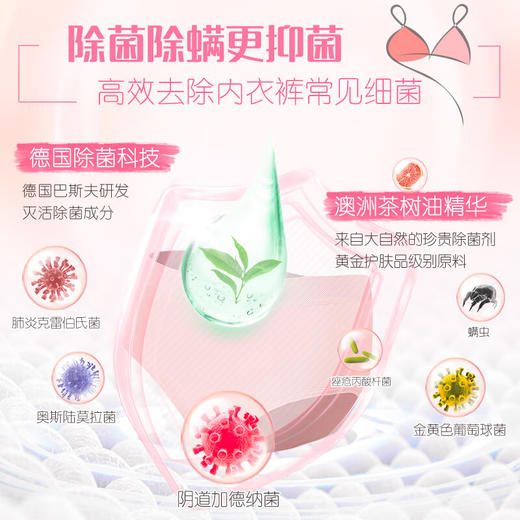 【积分兑换】立白内衣专护除菌洗衣液250g*1瓶 商品图1